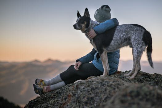 de lobos a companeros la fascinante historia de la evolucion canina 4