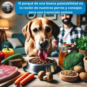 El porqué de una buena palatabilidad en la ración de nuestros perros y consejos para una transición exitosa