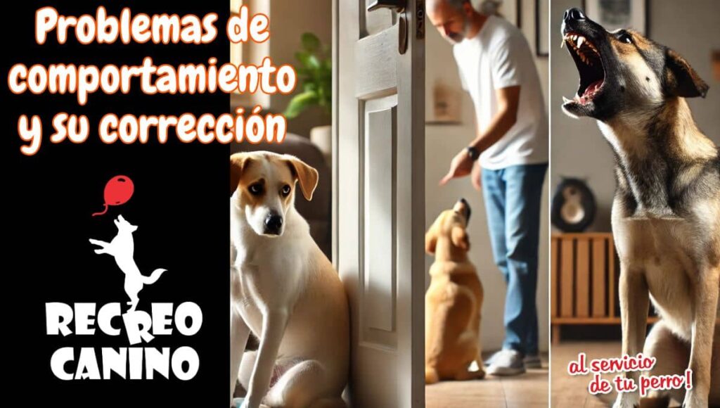 Problemas de comportamiento y su corrección: ansiedad por separación, agresividad y más en perros 1 Problemas de comportamiento y su corrección ansiedad por separación, agresividad y más en perros