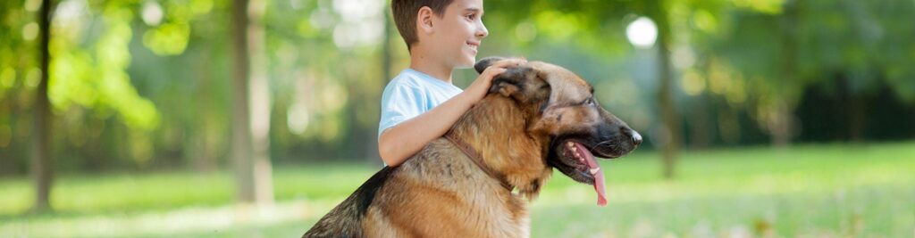 caracteristicas y curiosidades del perro pastor aleman