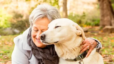 consejos para cuidar a un perro senior adecuadamente